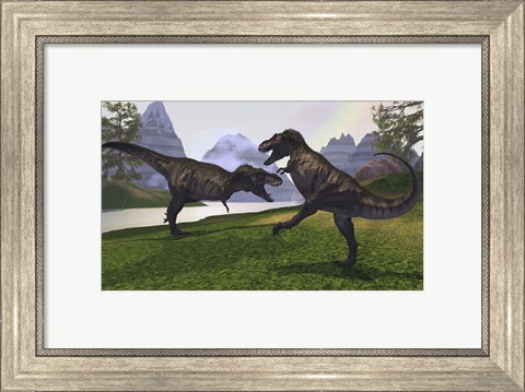 Framed Two Tyrannosaurus Rex dinosaurs fight for the right of a territory Print