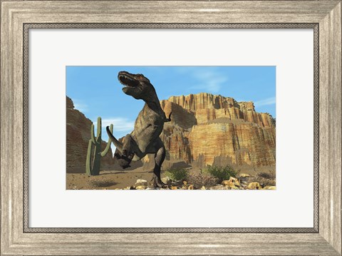 Framed T-Rex roars his defiance to all other dinosaurs in his territory Print