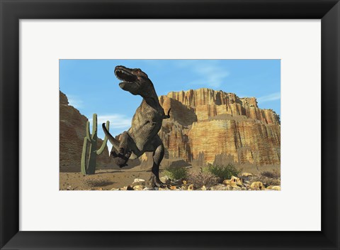 Framed T-Rex roars his defiance to all other dinosaurs in his territory Print