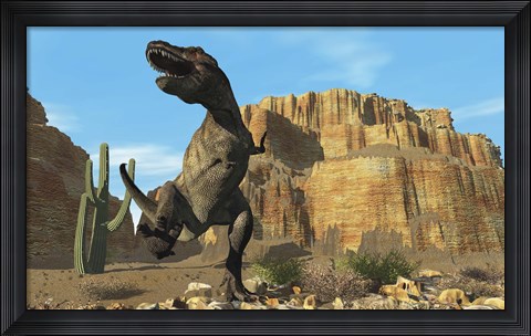 Framed T-Rex roars his defiance to all other dinosaurs in his territory Print