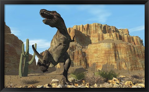 Framed T-Rex roars his defiance to all other dinosaurs in his territory Print