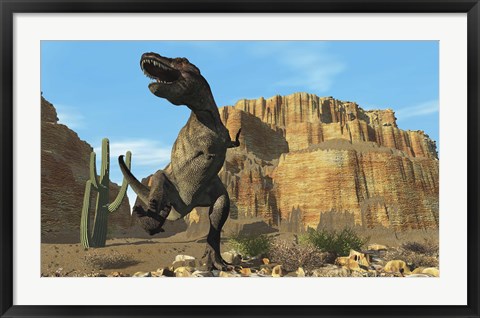 Framed T-Rex roars his defiance to all other dinosaurs in his territory Print