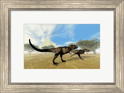 Framed Two Tyrannosaurus Rex dinosaurs are on the hunt for prey Print