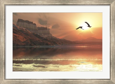 Framed Two Bald Eagles fly along a mountainous coastline at sunset Print