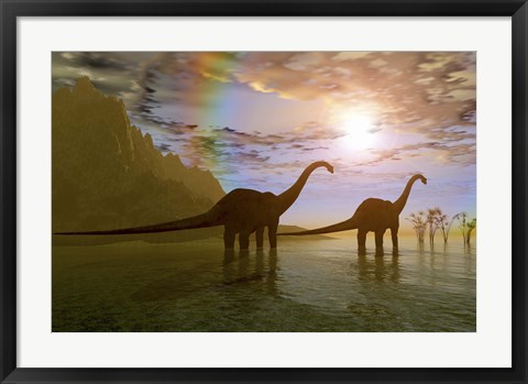 Framed Two Diplodocus dinosaurs wade through shallow water to eat some vegetation Print