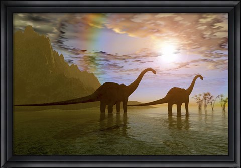 Framed Two Diplodocus dinosaurs wade through shallow water to eat some vegetation Print