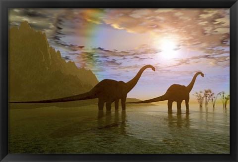 Framed Two Diplodocus dinosaurs wade through shallow water to eat some vegetation Print