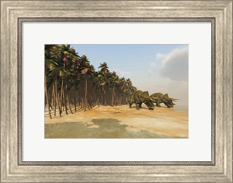 Framed Two Triceratops come down to a lake to drink some water Print