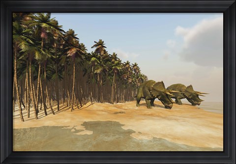 Framed Two Triceratops come down to a lake to drink some water Print