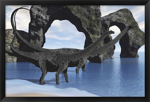 Framed Diplodocus dinosaurs wade through shallow waters of a beautiful seashore Print