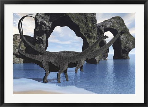 Framed Diplodocus dinosaurs wade through shallow waters of a beautiful seashore Print