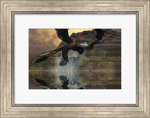 Framed Two Microraptor dinosaurs fly near mountain waterfalls in prehistoric times Print