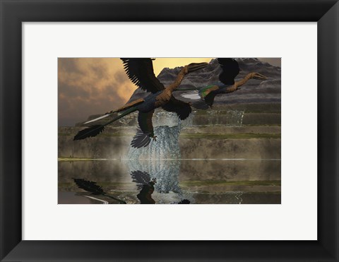 Framed Two Microraptor dinosaurs fly near mountain waterfalls in prehistoric times Print