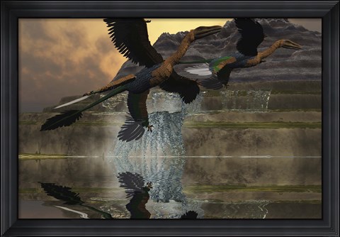 Framed Two Microraptor dinosaurs fly near mountain waterfalls in prehistoric times Print