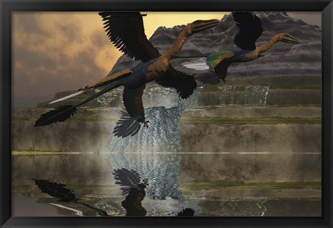 Framed Two Microraptor dinosaurs fly near mountain waterfalls in prehistoric times Print