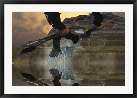 Framed Two Microraptor dinosaurs fly near mountain waterfalls in prehistoric times Print