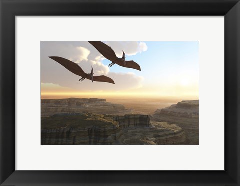 Framed Two Pterodactyl flying dinosaurs soar above a beautiful canyon Print