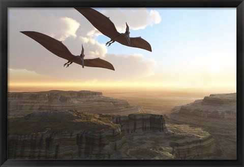 Framed Two Pterodactyl flying dinosaurs soar above a beautiful canyon Print