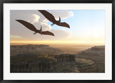 Framed Two Pterodactyl flying dinosaurs soar above a beautiful canyon Print