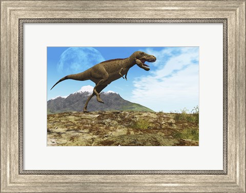 Framed Tyrannosaurus Rex dinosaur walks through his territory Print