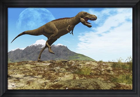 Framed Tyrannosaurus Rex dinosaur walks through his territory Print