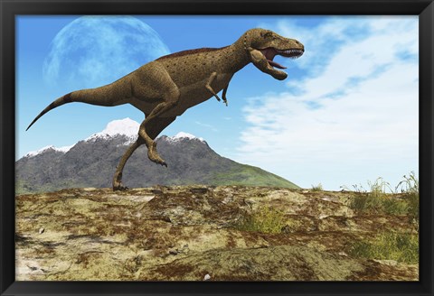 Framed Tyrannosaurus Rex dinosaur walks through his territory Print