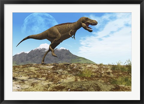 Framed Tyrannosaurus Rex dinosaur walks through his territory Print