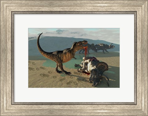 Framed Tyrannosaurus Rex eats the flesh of a dead Triceratops Print