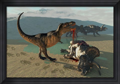 Framed Tyrannosaurus Rex eats the flesh of a dead Triceratops Print