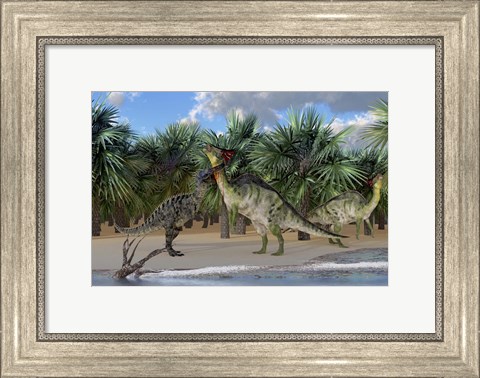 Framed Olorotitan mother is attacked by a Suchomimus dinosaur Print