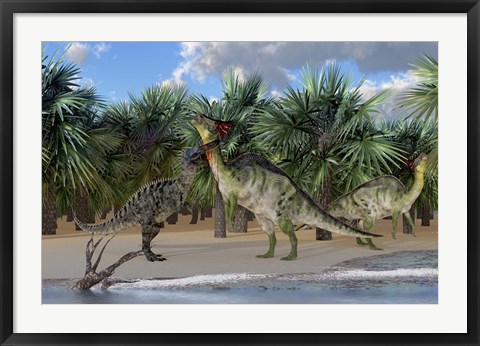 Framed Olorotitan mother is attacked by a Suchomimus dinosaur Print