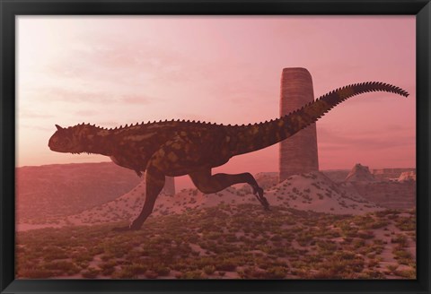 Framed Carnotaurus running in the early morning light on desert terrain Print