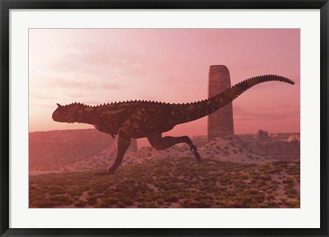 Framed Carnotaurus running in the early morning light on desert terrain Print