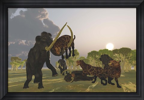 Framed pack of Saber Tooth Cats attack a small Woolly Mammoth Print