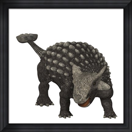 Framed Ankylosaurus was an armored dinosaur from the Creataceous Period Print