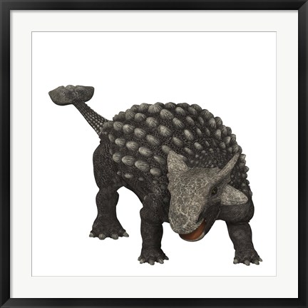 Framed Ankylosaurus was an armored dinosaur from the Creataceous Period Print