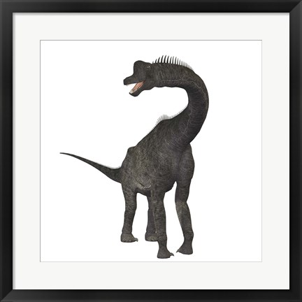 Framed Brachiosaurus dinosaur Print
