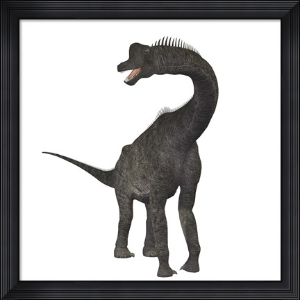 Framed Brachiosaurus dinosaur Print