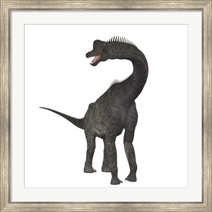 Framed Brachiosaurus dinosaur Print