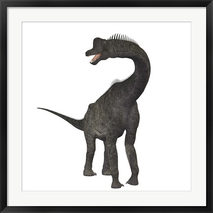 Framed Brachiosaurus dinosaur Print