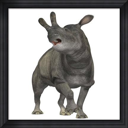 Framed Brontotherium is a rhinocerous-like mammal Print