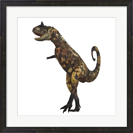 Framed Carnotaurus dinosaur Print