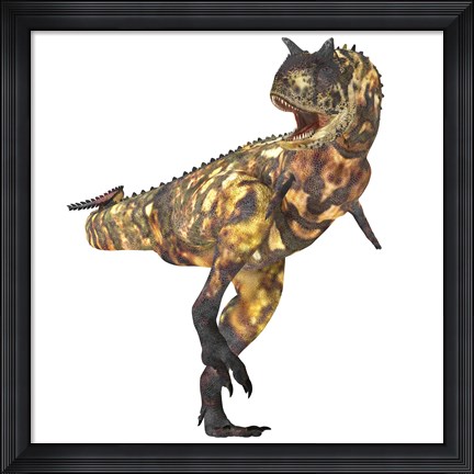Framed Angry Carnotaurus dinosaur Print