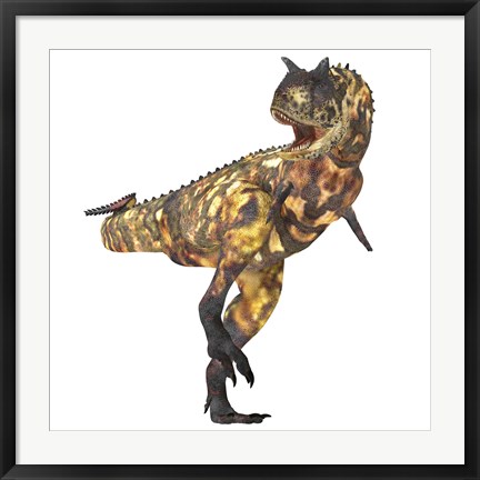 Framed Angry Carnotaurus dinosaur Print