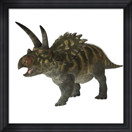 Framed Coahuilaceratops dinosaur Print