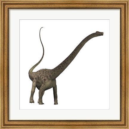 Framed Diplodocus dinosaur Print