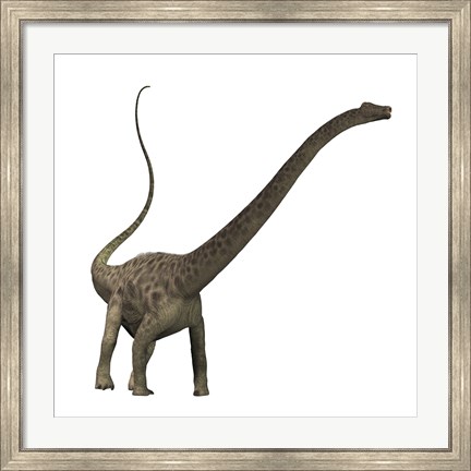 Framed Diplodocus dinosaur Print