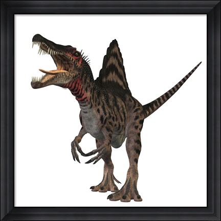 Framed Spinosaurus dinosaur Print