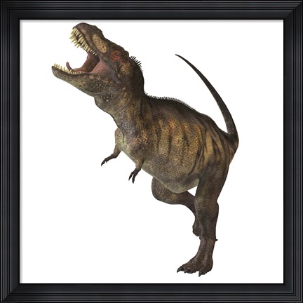 Framed Tyrannosaurus Rex Print
