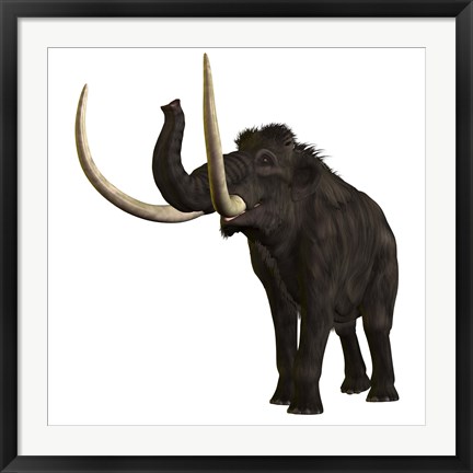 Framed Woolly Mammoth Print